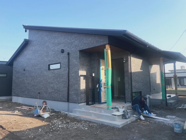 緊急🚨企画の画像