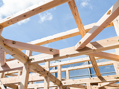 スケルトンからの再生